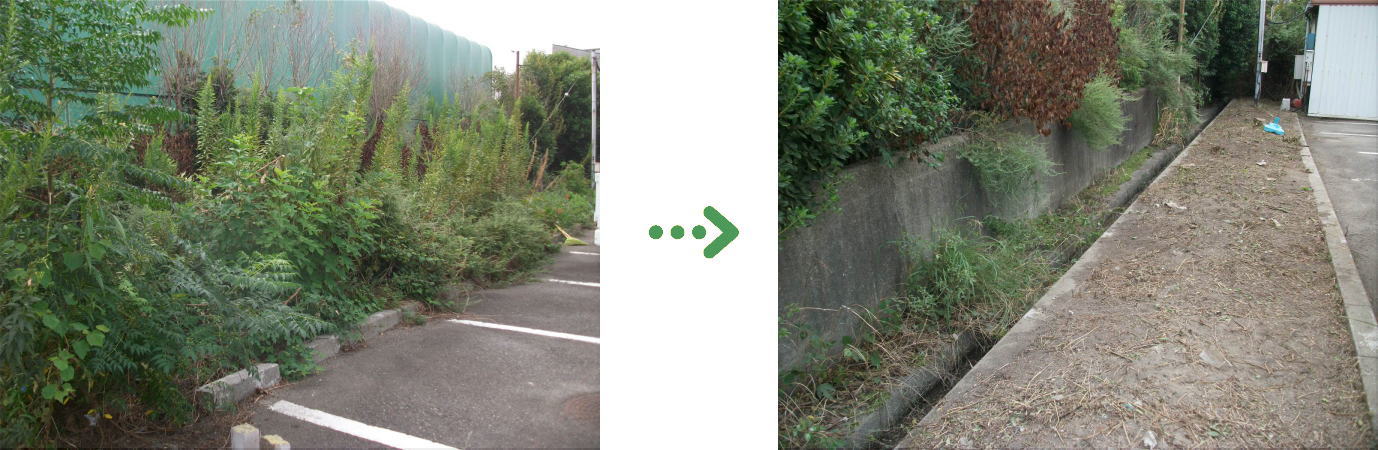 植栽管理の施工前と施工後